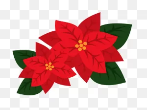 Poinsettia Flower Clipart. Free Download Transparent .png | ClipartFlare