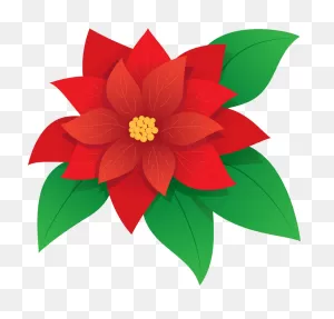 Poinsettia Clipart Transparent - ClipartFlare