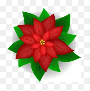 Poinsettia Clipart Transparent Background - ClipartFlare