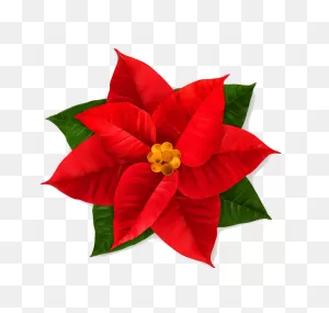 Poinsettia Clipart Transparent 4 - ClipartFlare