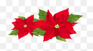 Poinsettia Clip Art | Christmas Card Design, Holiday Scrapbook ClipartFlare.com 