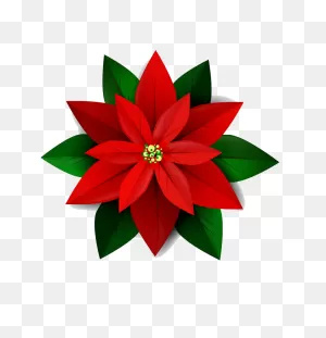Wonderful Poinsettia Clipart Transparent - ClipartFlare
