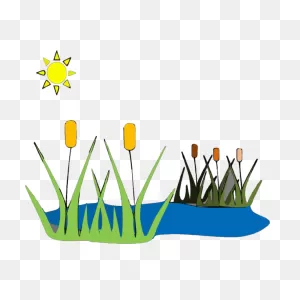 Pond C Png, PNG-WebP Clip Art For Web - Download Clip Art, Png Icon Arts