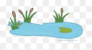 Water Lily Pond Clipart - Clipartfox - ClipartFlare - ClipartFlare