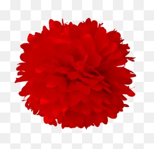 Pom Pom - Pom Pom Clipart Black And White - Png Download - Full ClipartFlare.com 