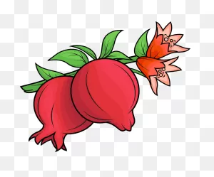 Food, Fruit, Fruits, Pomegranate, Pomegranates Icon Icon - Download ClipartFlare.com 