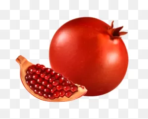 Pomegranate Clipart And Other Free Printable, Sharable Design Themes
