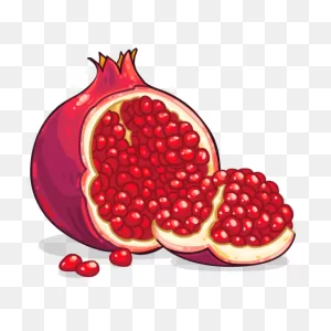 Pomegranate Png Vector - Png #8041 - Free Png Images | Starpng