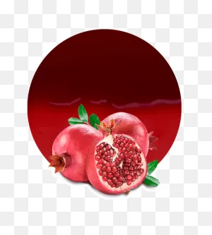 Pomegranate Drawing At Getdrawings - Pomegranate Black And White ClipartFlare.com 