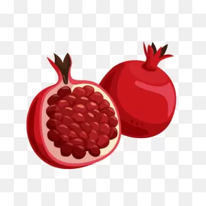 Pomegranate Clipart. Free Download Transparent .png | ClipartFlare