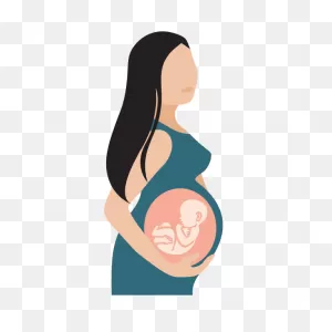 Pregnant Woman With See Through Belly Illustration | Free PNG-WebP