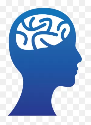 Developmental Psychology Clipart - Full Size Clipart (#3057297 ClipartFlare.com 