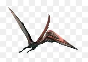 Pterodactyl | Zhejiangopterus | Moab Giants Dinosaur Park