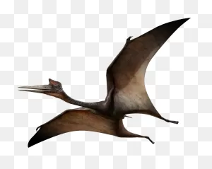 Pterodactyl Dinosaur Ancient - Free Vector Graphic On ClipartFlare