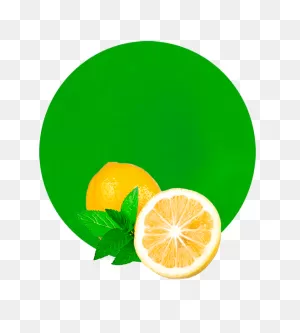Lemon & Mint Concentrate - Manufacturer And Supplier