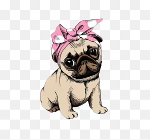 Pug Dog Png Clipart | Png All