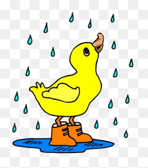 Rain Duck Puddle - Free Vector Graphic On ClipartFlare