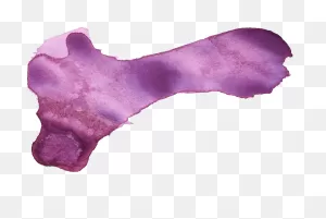 24 Purple Watercolor Brush Stroke (Png Transparent) | ClipartFlare ClipartFlare.com