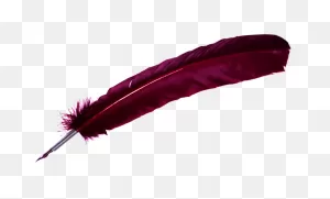 Quill Png Clipart - Full Size Clipart (#2975589) - ClipartFlare