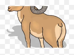 Dall Sheep Clipart Ram - Ram Animal Png Transparent Png - Full ClipartFlare.com 