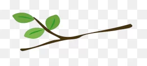 Vector Gratis Rbol Rama Hojas Verde Ramas Imagen Ramas - La Rama ClipartFlare.com 