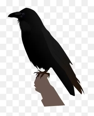 Common Raven Transparent Png Png Icons - PNG-WebP Raven Clipart - Full ClipartFlare.com 
