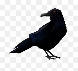 Download Halloween Crow Png High-Quality Image - Raven Clipart Png ClipartFlare.com 