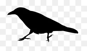 Download Common Raven Crow Family Bird Silhouette - Raven Clipart ClipartFlare.com 
