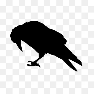 Raven Silhouette 2 | Free PNG-WebP