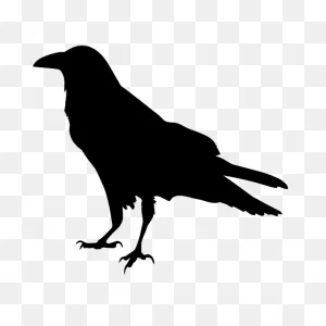 Raven Silhouette | Free PNG-WebP