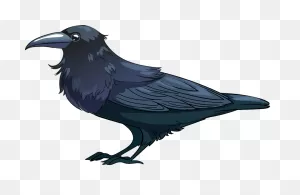 Raven Clipart. Free Download Transparent .png | ClipartFlare
