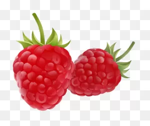 Fruit Drawing Clipart Raspberry, Fruit Logo, Set Clipart ClipartFlare.com 