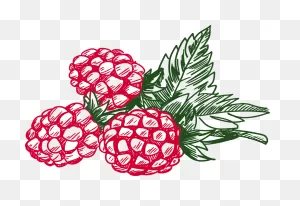 Onlinelabels Clip Art - Raspberry 4