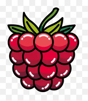 Raspberry Clipart. Free Download Transparent .png | ClipartFlare