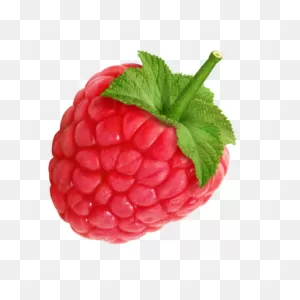Raspberry Icon Clipart Photo - 25906 - ClipartFlare