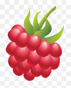 Raspberry Png - Raspberry Clipart Transparent Background - Full ClipartFlare.com 
