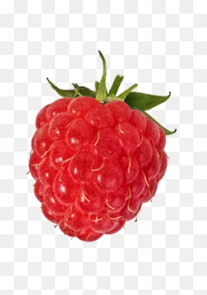 Raspberry