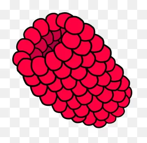 Red Raspberry Clip Art Drawing Free Image Download