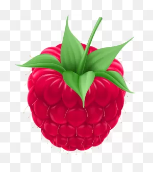 Raspberry Png Clip Art Image | Fruit Picture, Clip Art, Free Clip Art