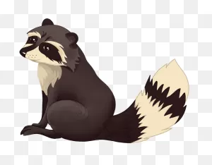 Raccoon Clipart. Free Download Transparent .png | ClipartFlare