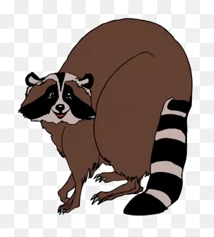 Raccoon Clipart - Raccoon Clip Art - Png Download - Full Size ClipartFlare.com 