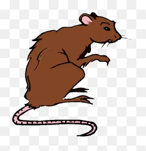 Dead Rat Clipart Kid 2 - ClipartFlare ClipartFlare.com