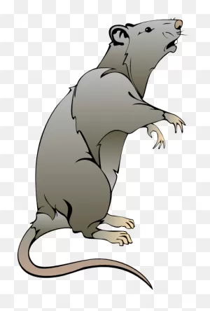 Free Rat Cliparts, Download Free Rat Cliparts Png Images, Free ClipartFlare.com 