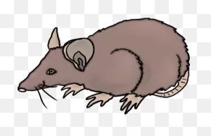Rat Clip Art Free Clipart Images 2 2 - ClipartFlare ClipartFlare.com