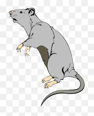 Rat Animal Mammal - Free Vector Graphic On ClipartFlare