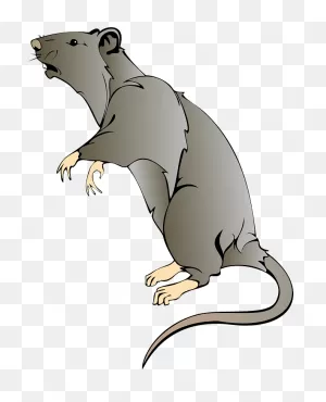 Rat Clipart. Free Download Transparent .png | ClipartFlare