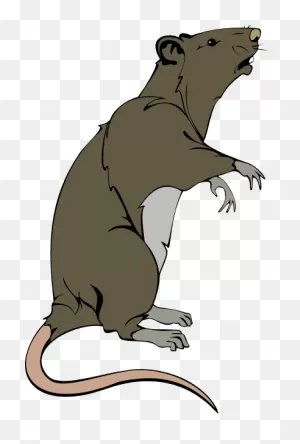 Rat Clipart Png Clip Freeuse - Rat Clipart Png | Full Size Png ClipartFlare.com 