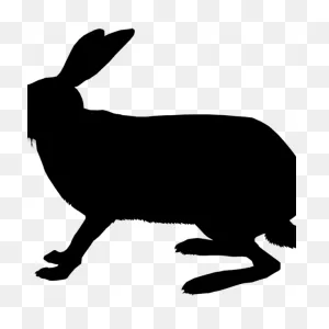 Domestic Rabbit Clipart Domestic Rabbit Hare Whiskers - Clip Art ClipartFlare.com 