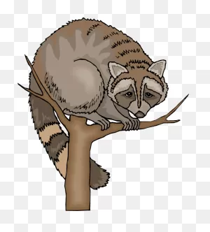 Free Raccoon Cliparts, Download Free Raccoon Cliparts Png Images ClipartFlare.com 