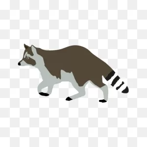 Free Raccoon Cliparts, Download Free Raccoon Cliparts Png Images ClipartFlare.com 